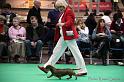 Crufts2011_2 1600